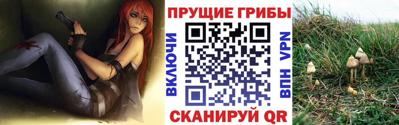 Купить закладки  Камешково  Галлюциногенные грибы Magic Shrooms 